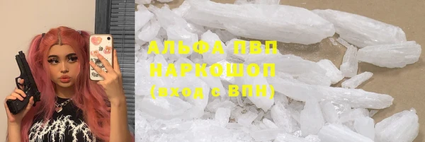 гашик Нягань
