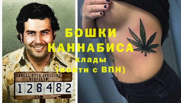 мяу мяу кристалл Няндома