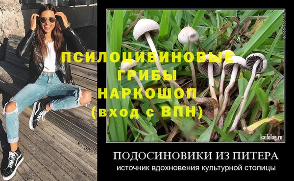 молекула духа Новодвинск