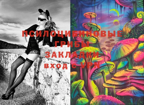 гашик Нягань