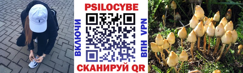 Галлюциногенные грибы Psilocybe  Нягань 