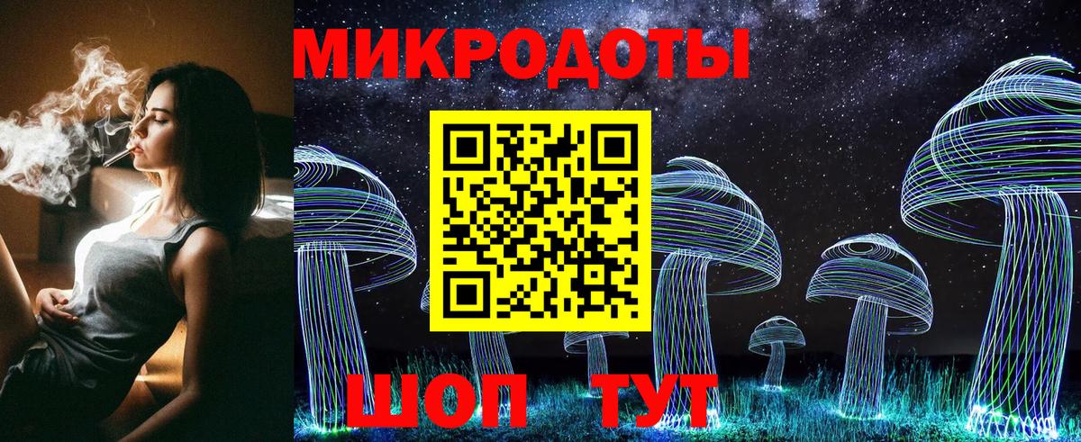 Галлюциногенные грибы Psilocybe  Нягань  Псилоцибиновые грибы Cubensis 