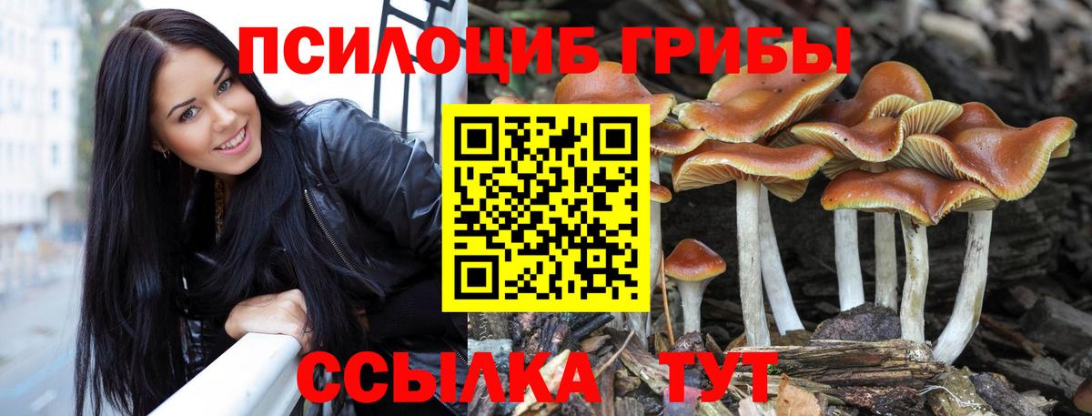 Галлюциногенные грибы мицелий Нягань