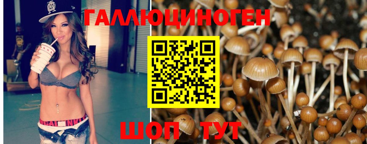 Галлюциногенные грибы MAGIC MUSHROOMS Нягань